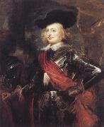 Peter Paul Rubens Cardinal-Infante Ferdinand (mk01) oil